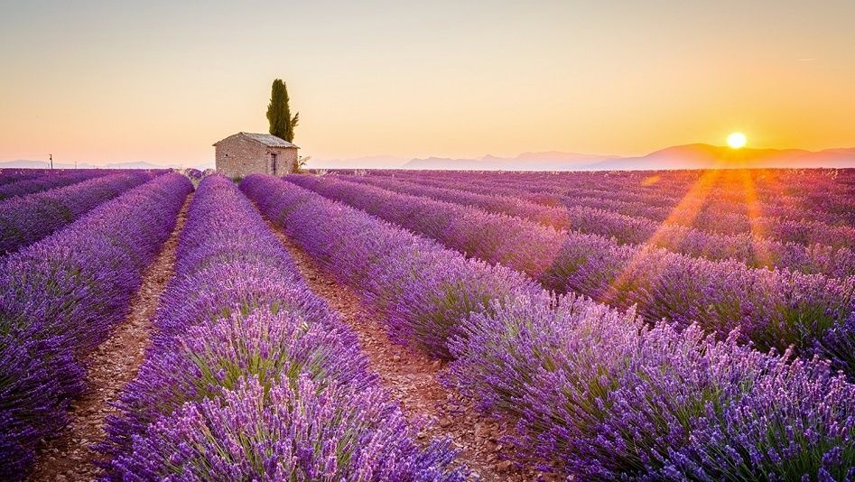 Image principale du blog 5 destinations du sud de la France à visiter