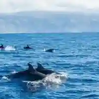 Image représentant En été