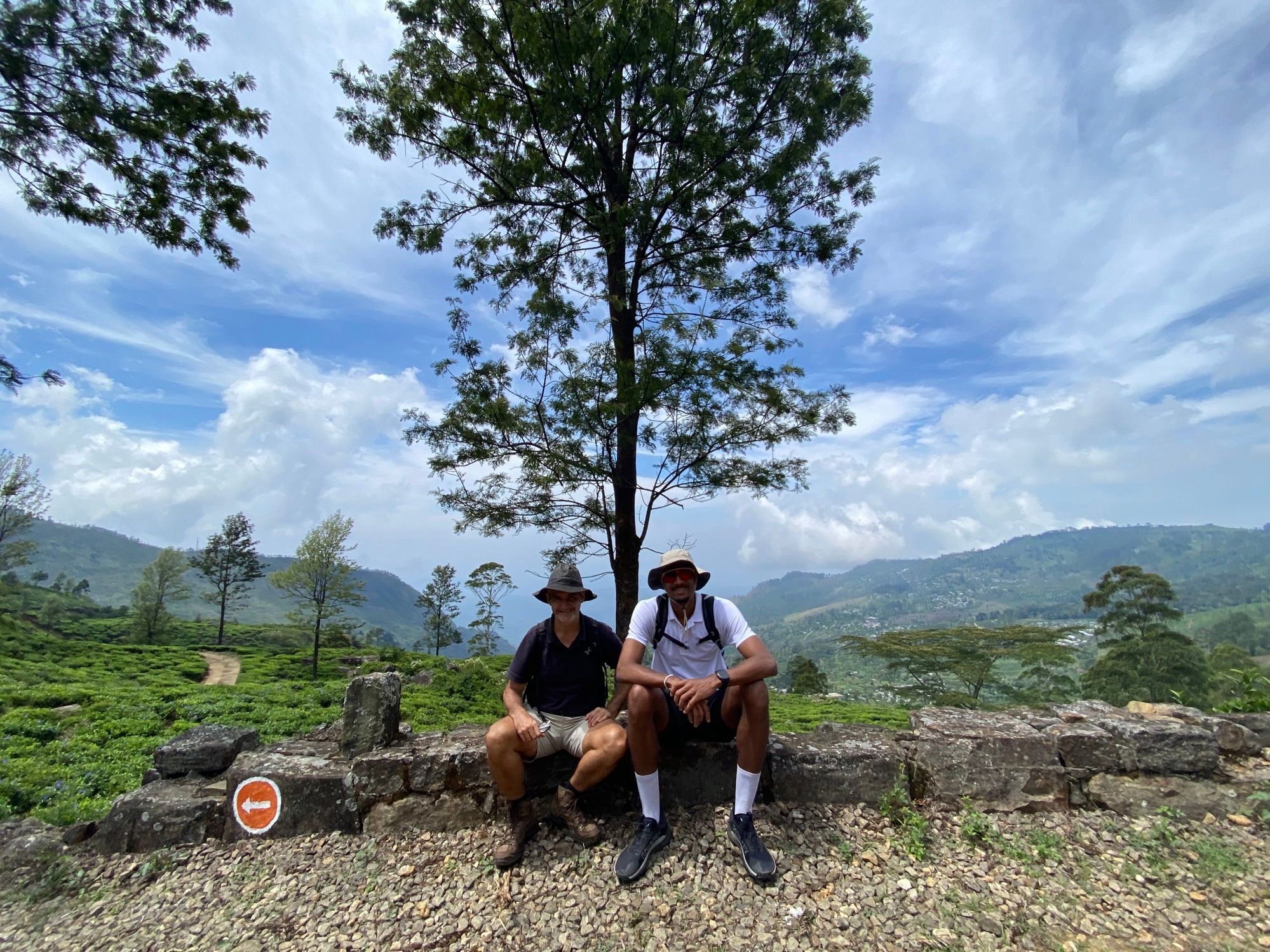 Two men sit on a stone wall overlooking a lush tea plantation and mountains under a blue sky.