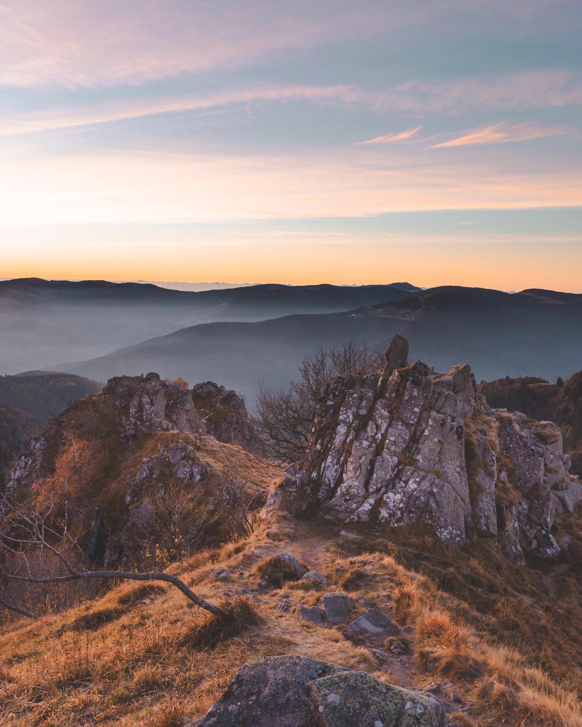image secondaire du voyage En immersion avec un photographe animalier dans les Vosges