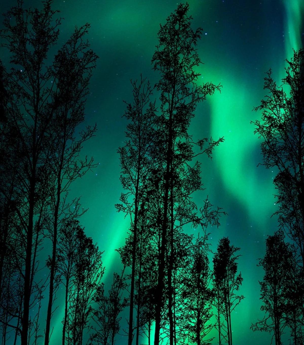 image secondaire du voyage Observez les aurores boréales en Laponie Norvégienne