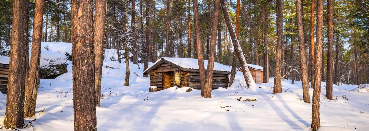 image principale du voyage Aventures hivernales en Laponie Finlandaise