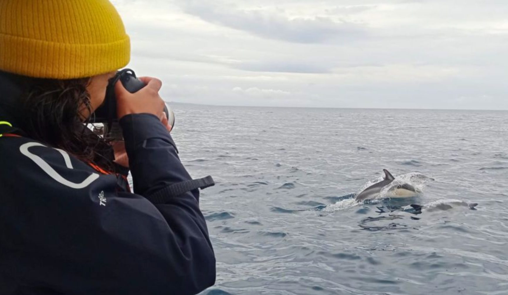 Photo du voyage Açores : randonnées, volcans et baleines