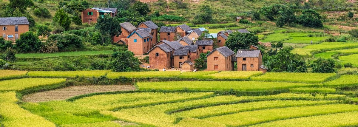 image principale du voyage Immersion culturelle à travers les paysages spectaculaires de Madagascar