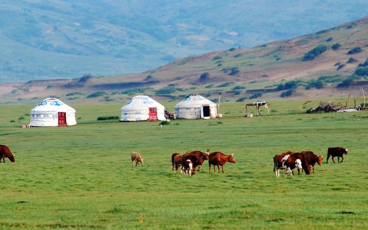 Yourtes dans la steppe mongole