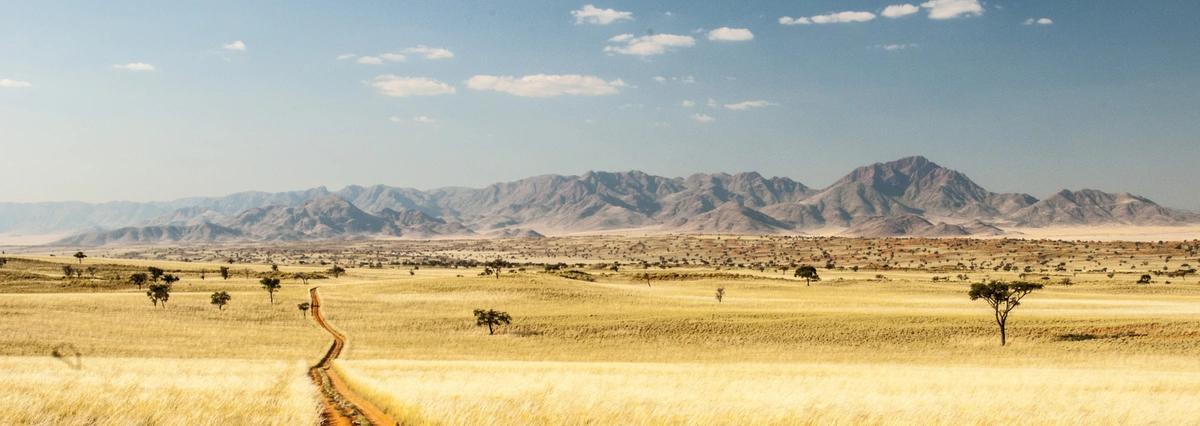 image principale du voyage Namibie Sauvage : entre aventure et protection des animaux