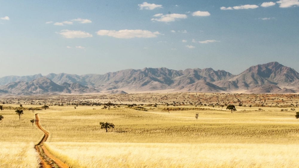 image principale du voyage Namibie Sauvage : entre aventure et protection des animaux