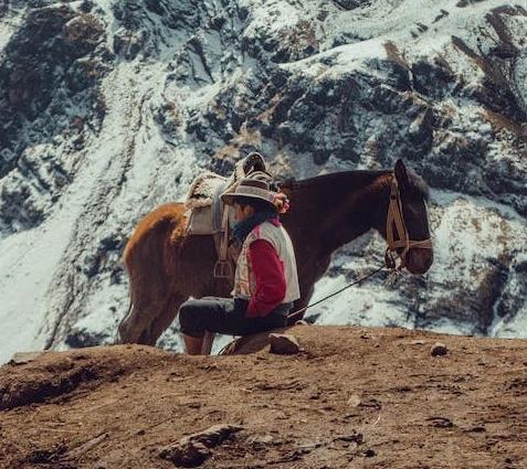 Photo de Des guides francophones dédiés