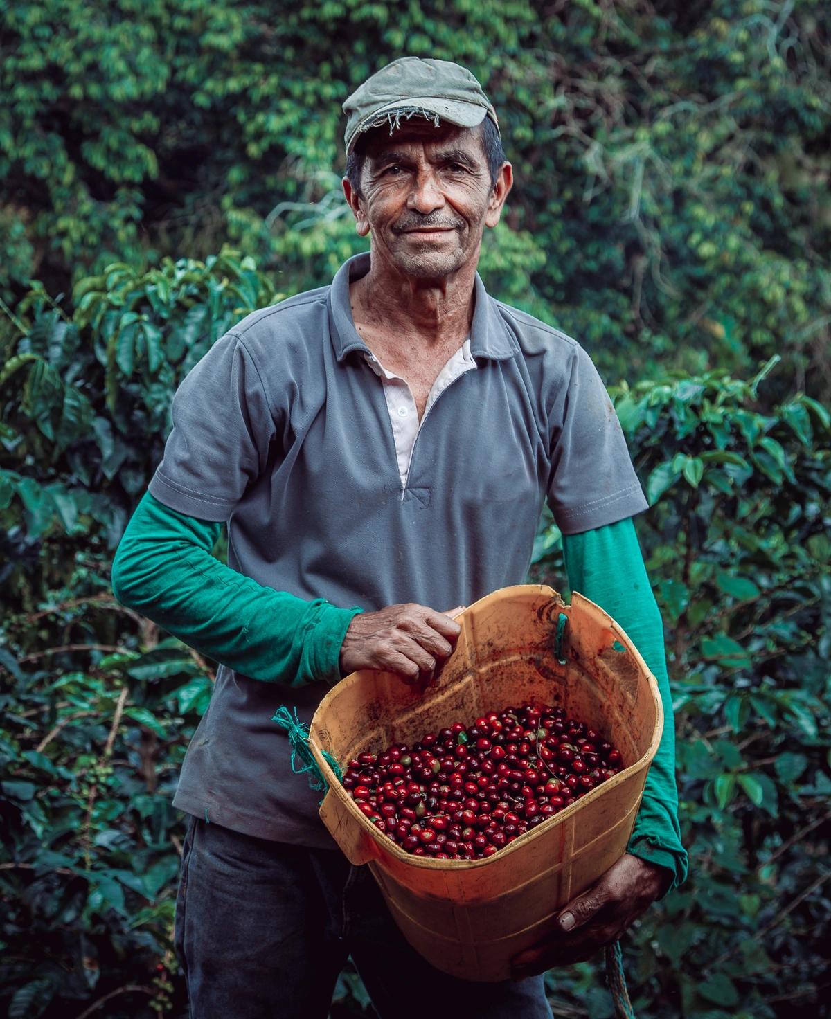 image secondaire du voyage Échappée sauvage en Colombie : Du triangle du café aux baleines du Chocó