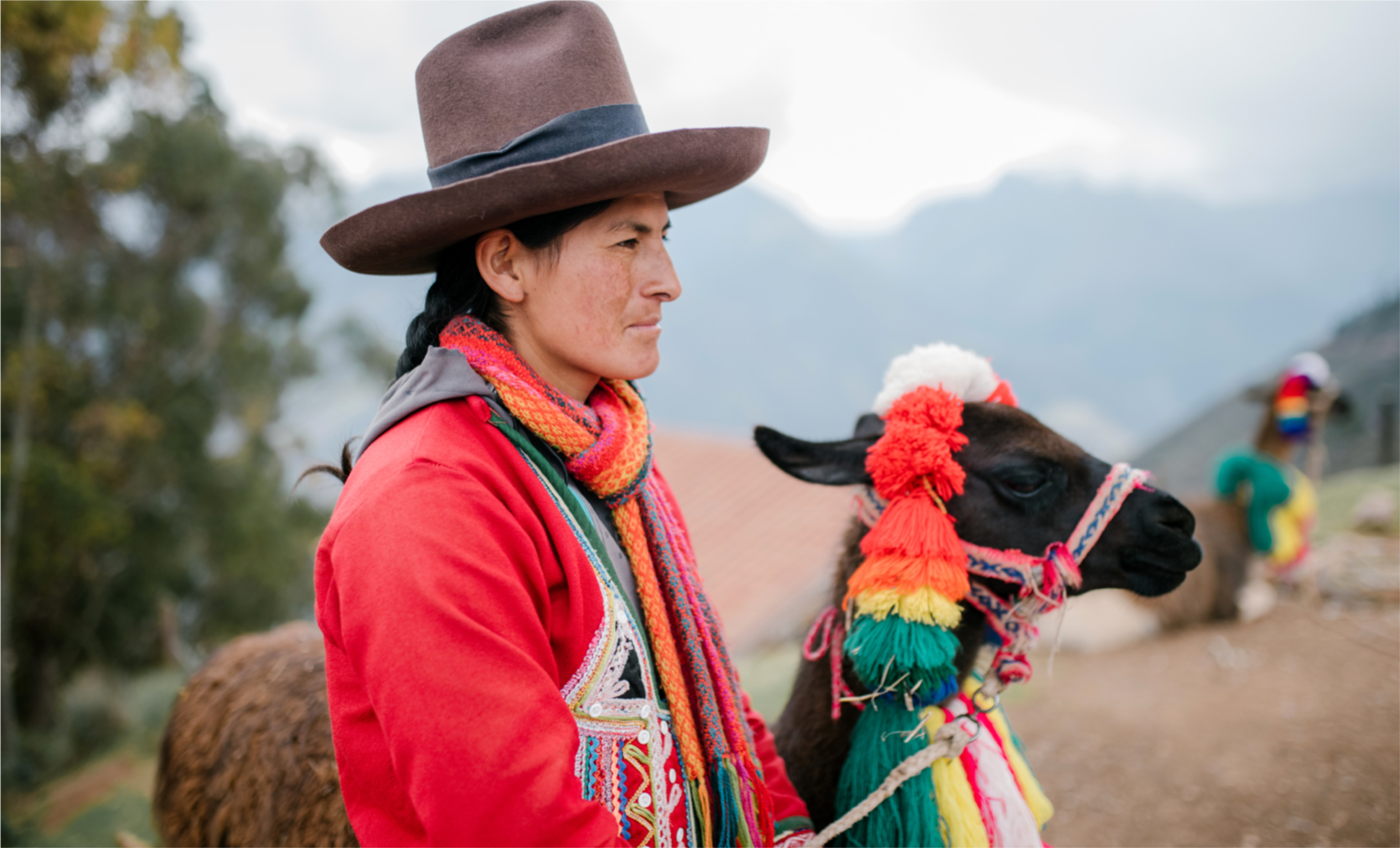 Image principale du blog L'Empire inca : origine, apogée et déclin