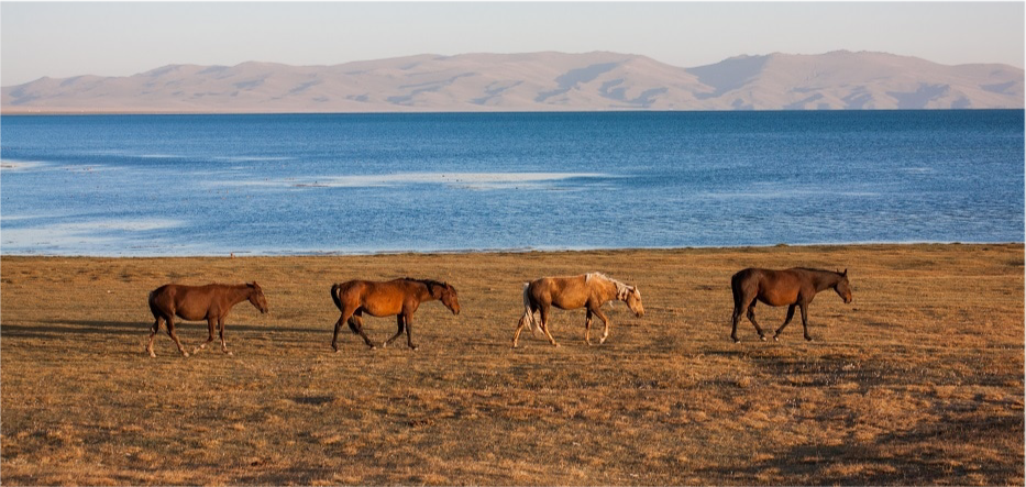 Image principale du blog En images : les plus beaux paysages du Kirghizistan