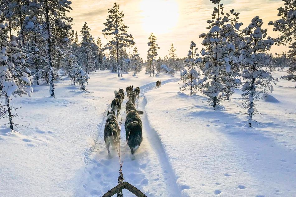 Image principale du blog Laponie en hiver : que faire, quand partir et comment vivre l'expérience