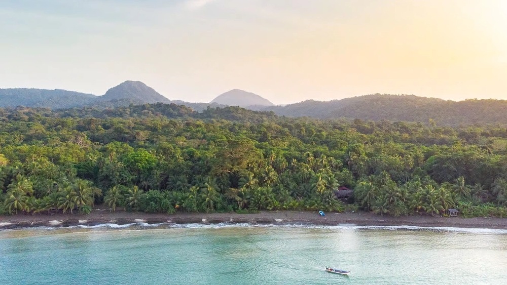 image principale du voyage Échappée sauvage en Colombie : Du triangle du café aux baleines du Chocó
