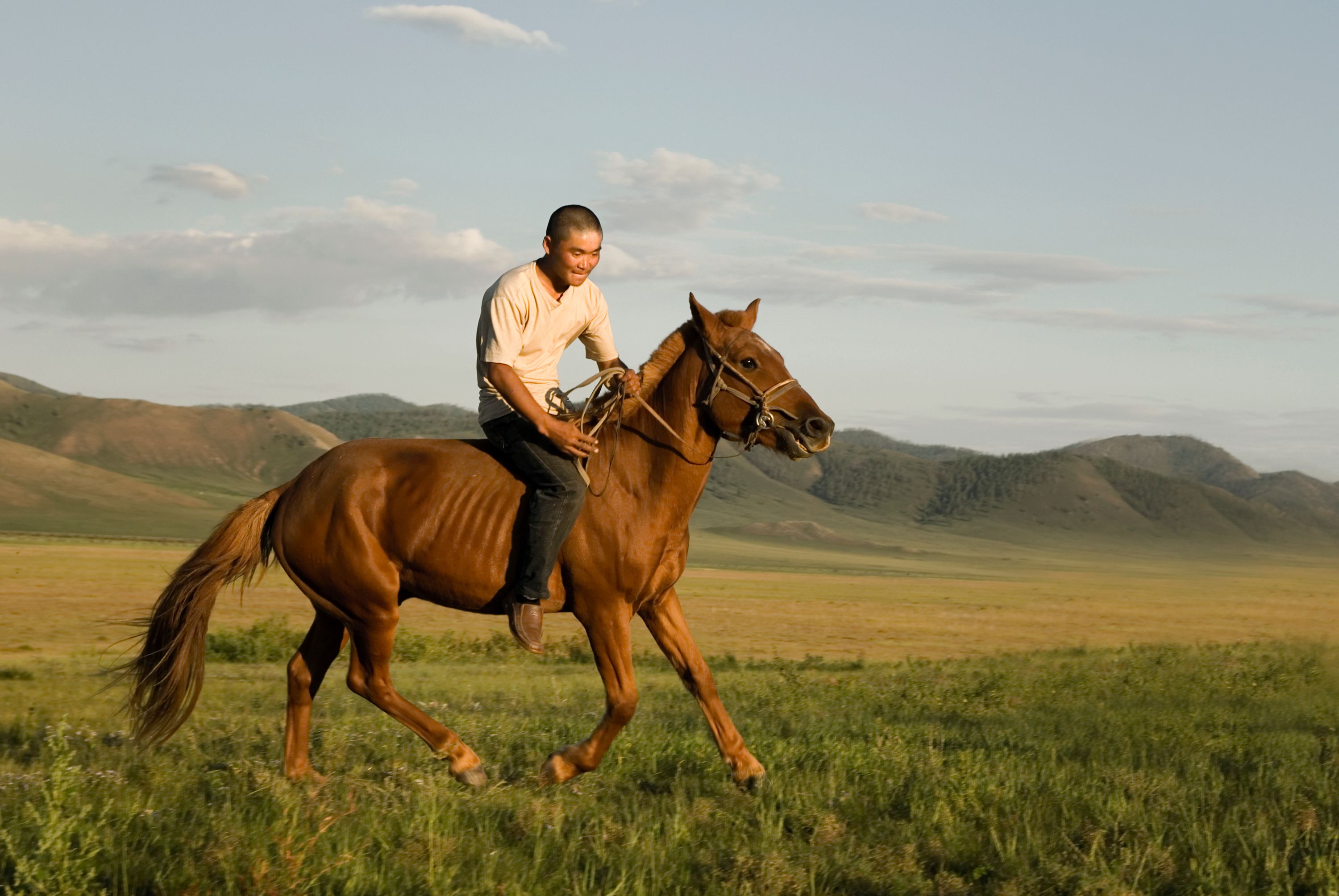 image de la liste de photos du voyage Partagez le quotidien des nomades des steppes mongoles