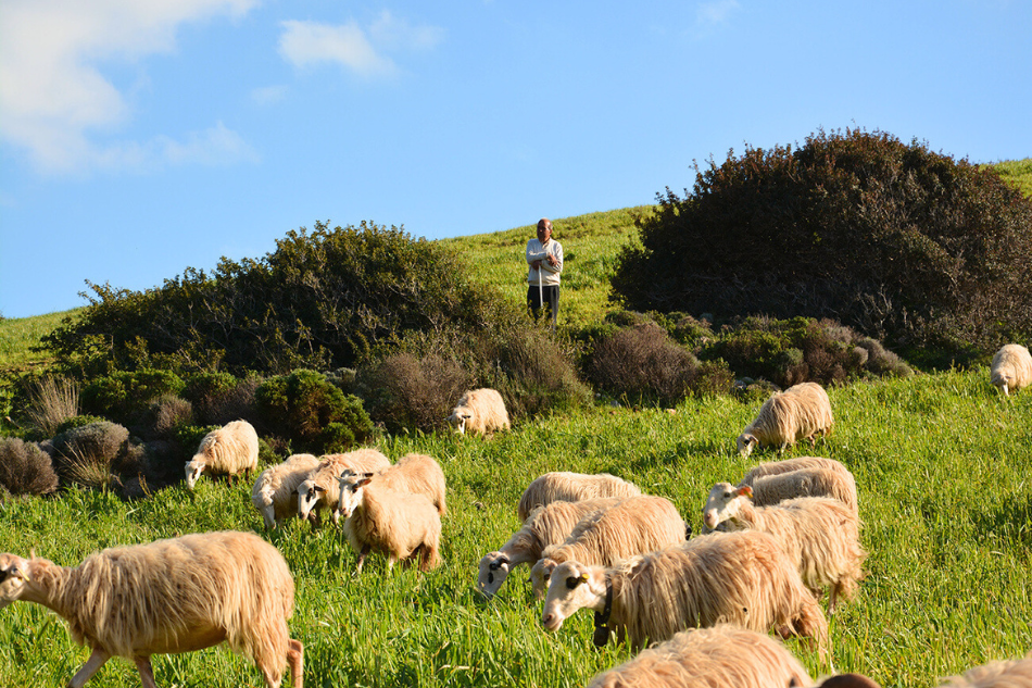 Panoramic view of a sandy beach with turquoise water, a large hill featuring red cliffs, and a bright blue sky with white clouds.