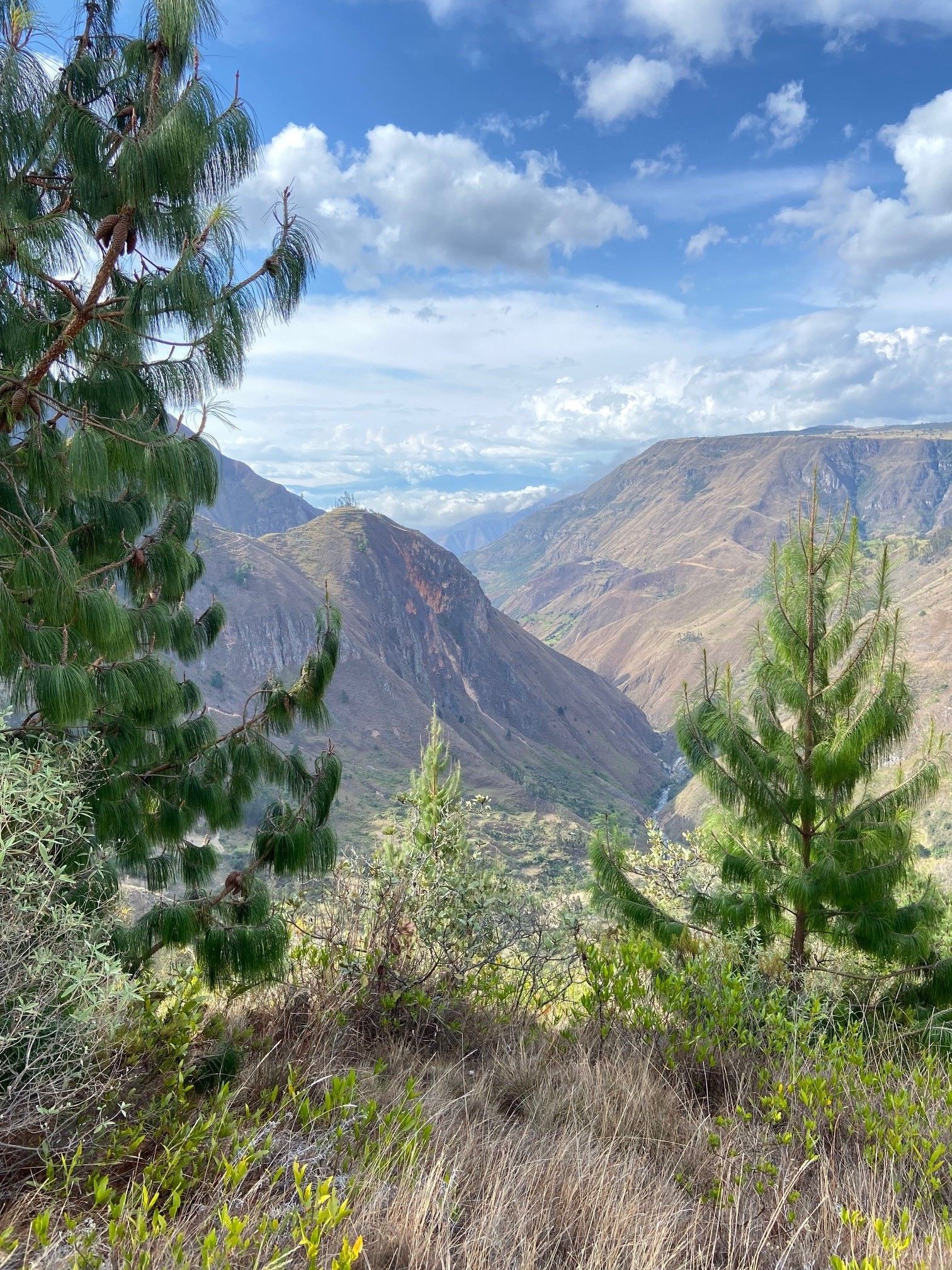 A mountain lake surrounded by dry, grassy hills under a blue, cloudy sky.