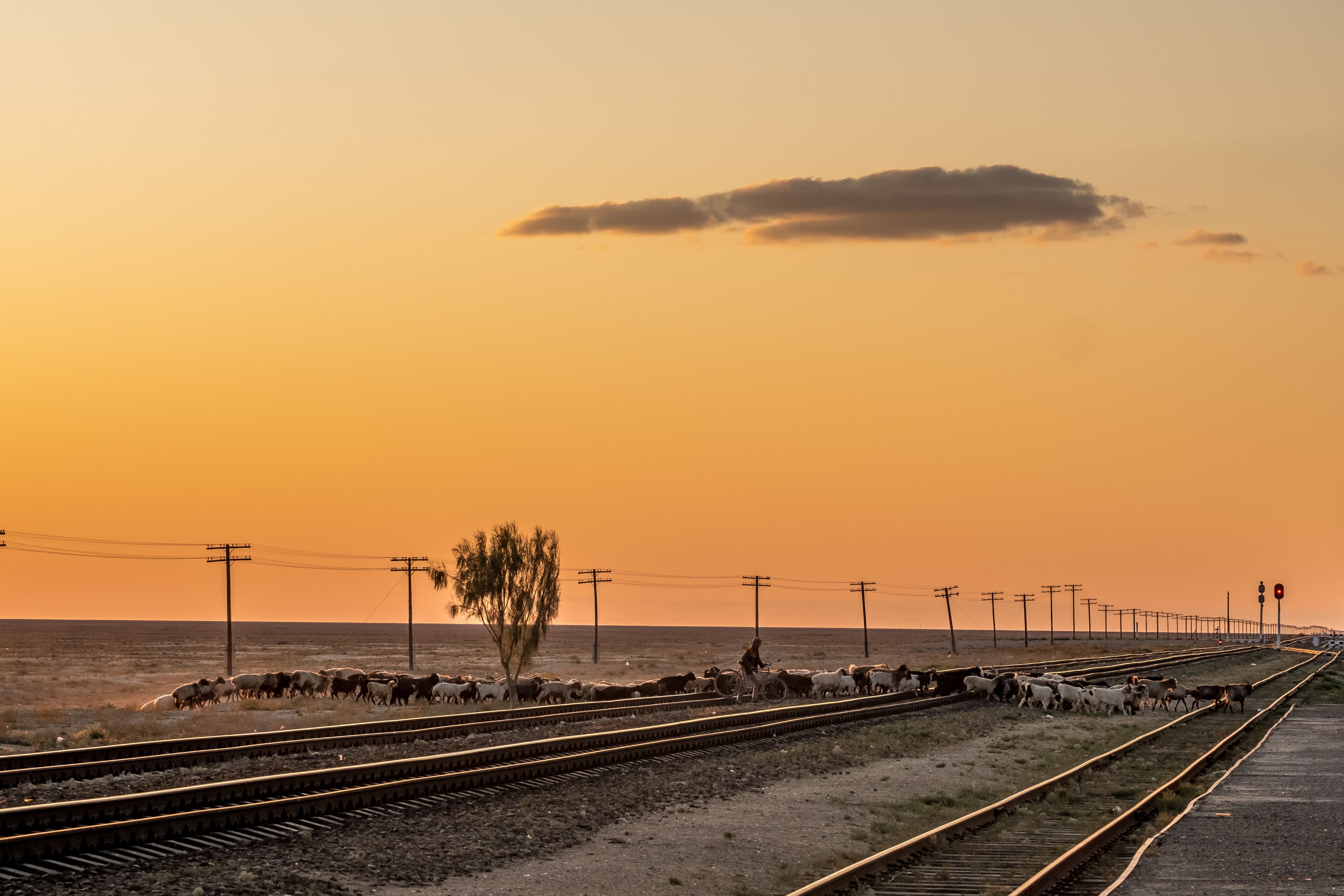 Photo du voyage Voyage en train en Ouzbékistan, entre citées légendaires et steppes nomades