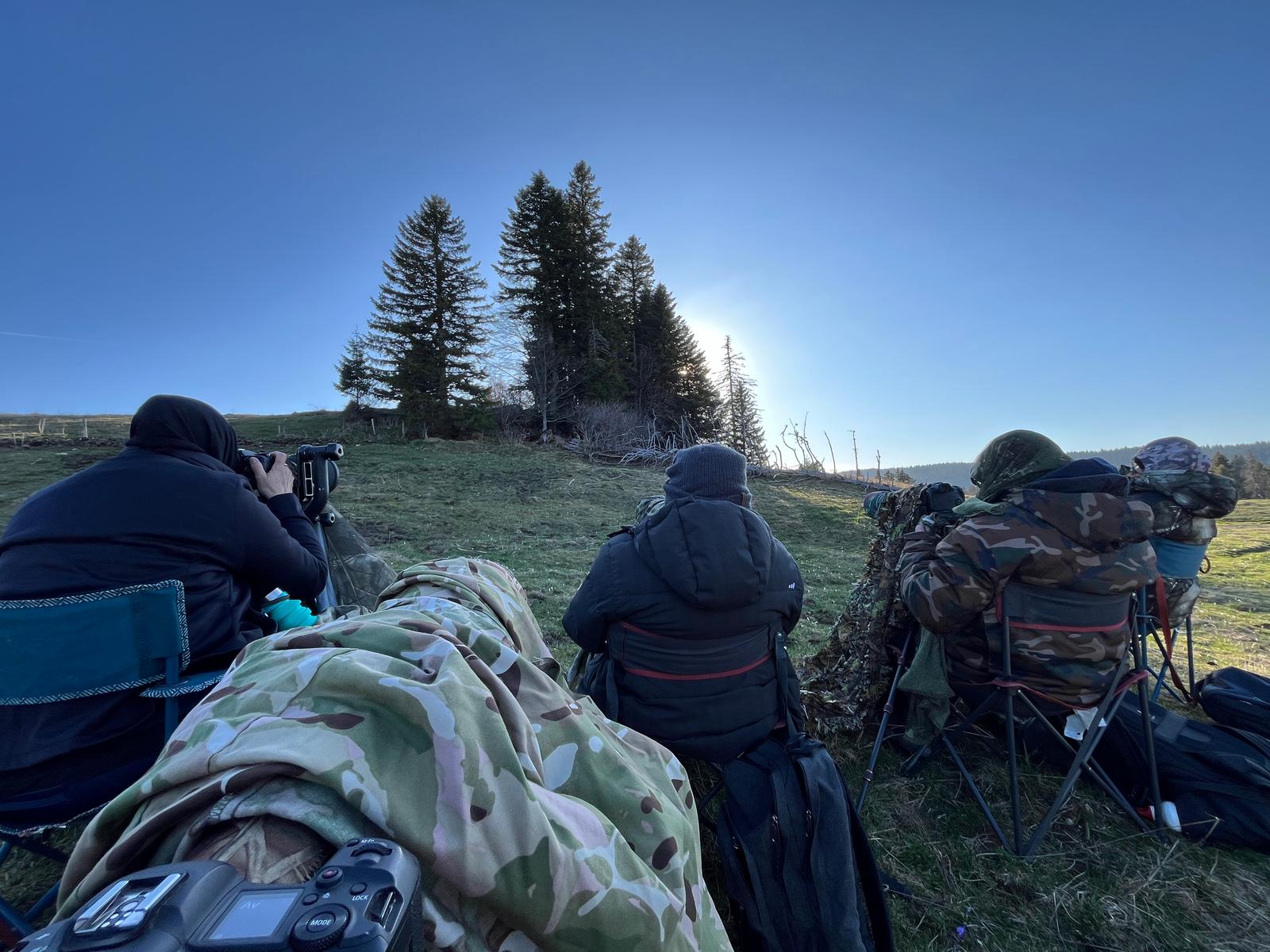 Four people with cameras and camouflage sit in a sunny grassy field, looking towards distant trees.