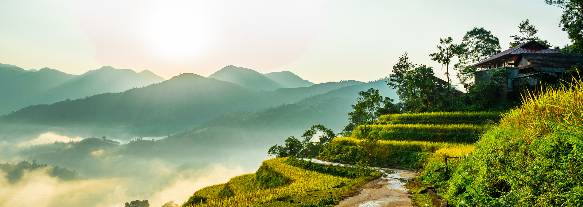 image principale du voyage Le Vietnam du Nord, un voyage à la rencontre des populations ethniques