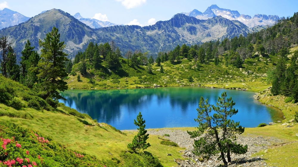 Bright blue mountain lake surrounded by green slopes, pine trees, pink flowers, and distant rocky peaks.