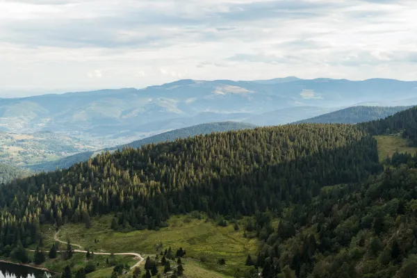 Vosges