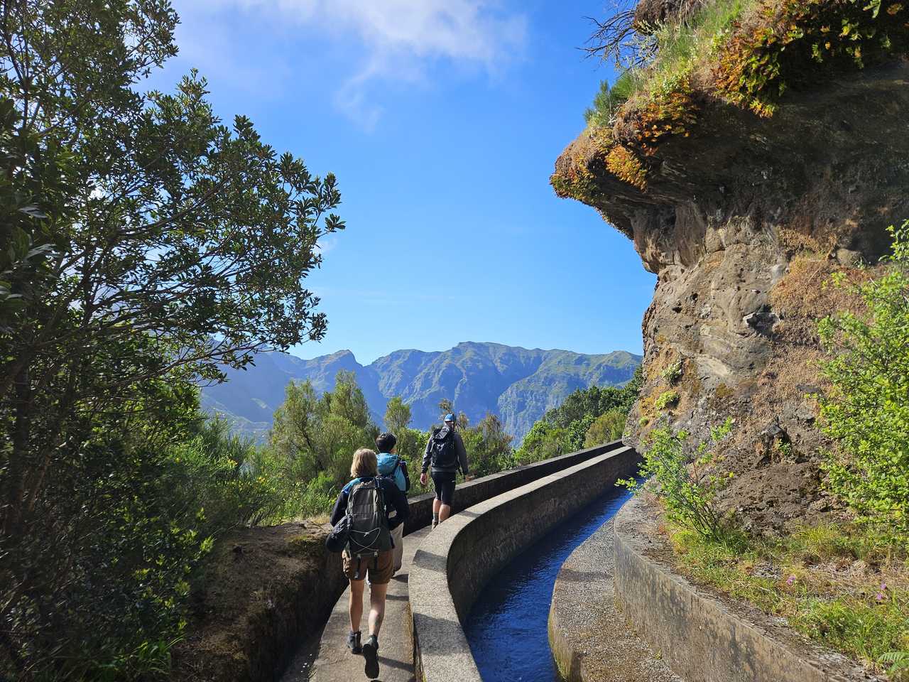 Photo du voyage Trek à Madère, entre sommets, forêts et océan