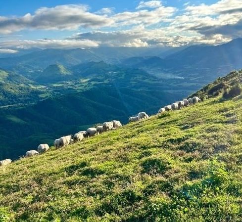 A person with a backpack walks along a grassy ridge overlooking a forested valley under a sky with sunbeams.