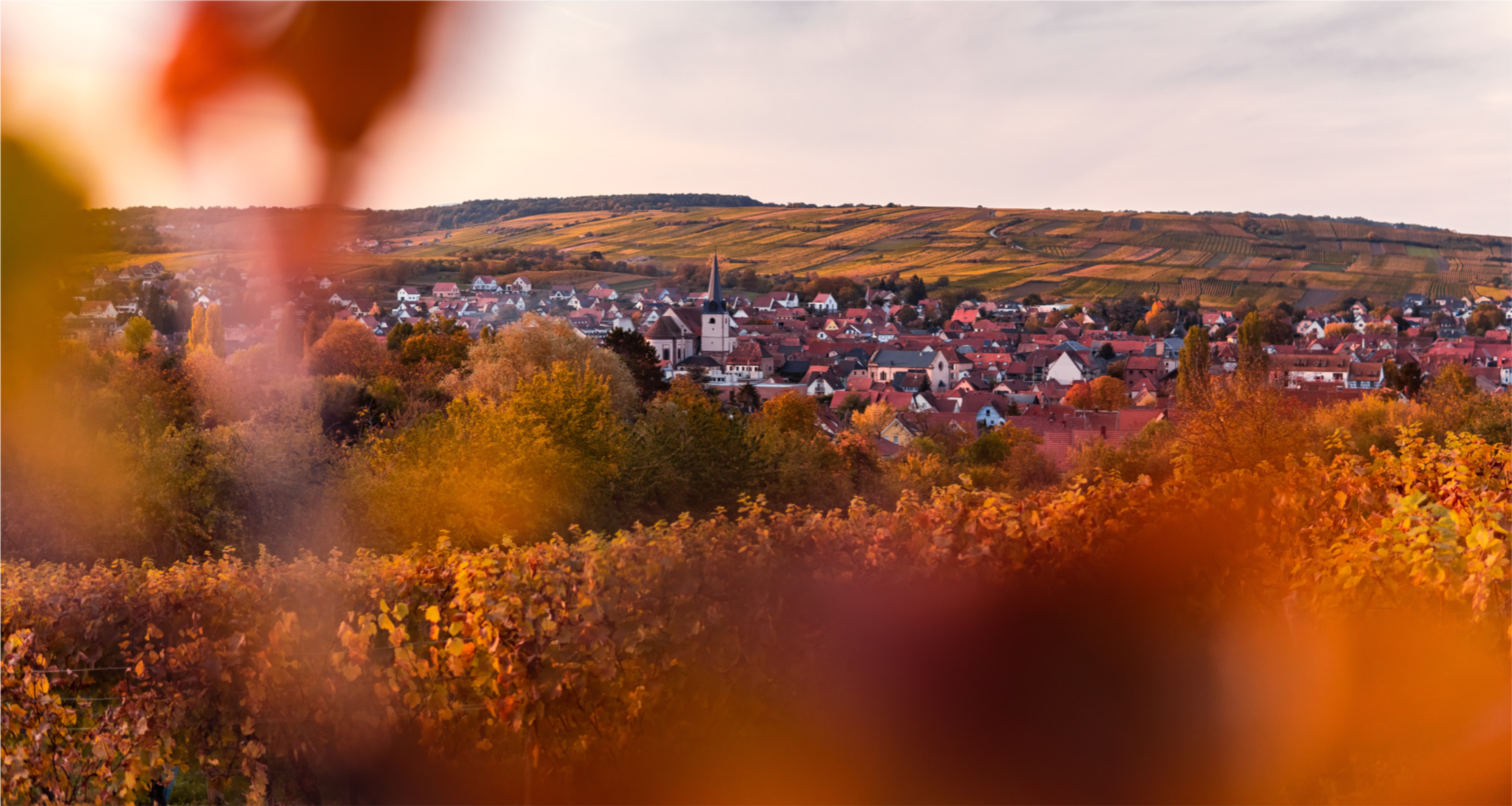Image principale du blog Découvrir la France au fil de la côte ouest - deuxième partie