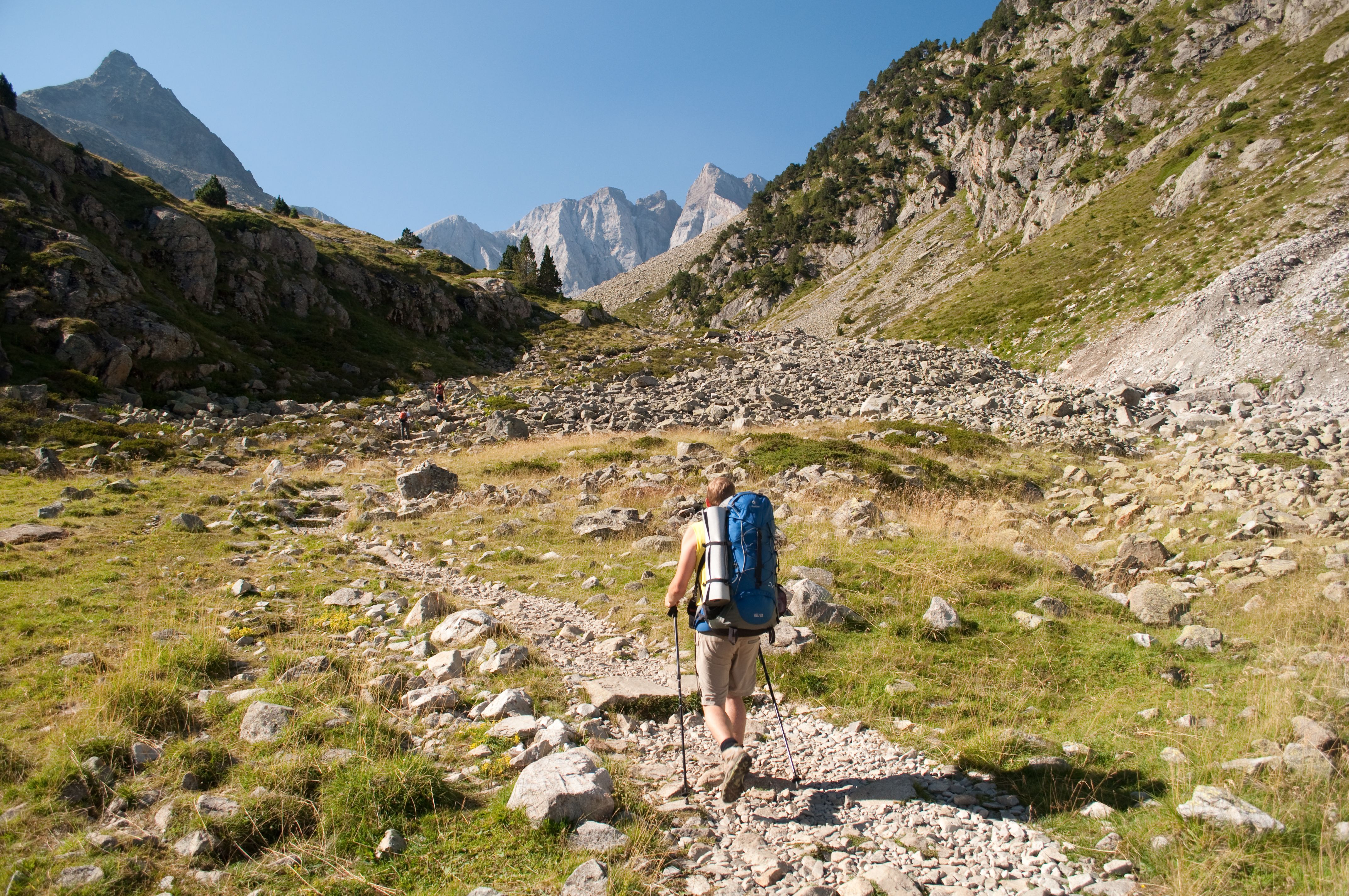 Photo du voyage Sur les pas de l’ours dans les Pyrénées
