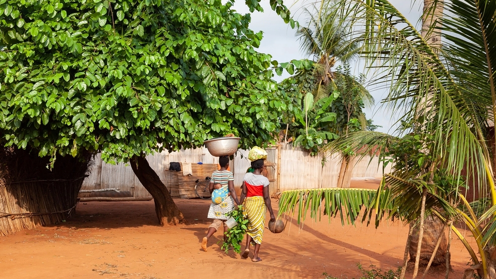 Image principale du voyage Voyage au Bénin, au cœur des villages et traditions