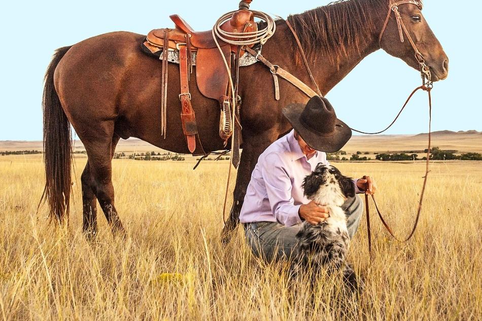 image de la liste de photos du voyage Au bout du monde en Patagonie, terre de feu et de glace