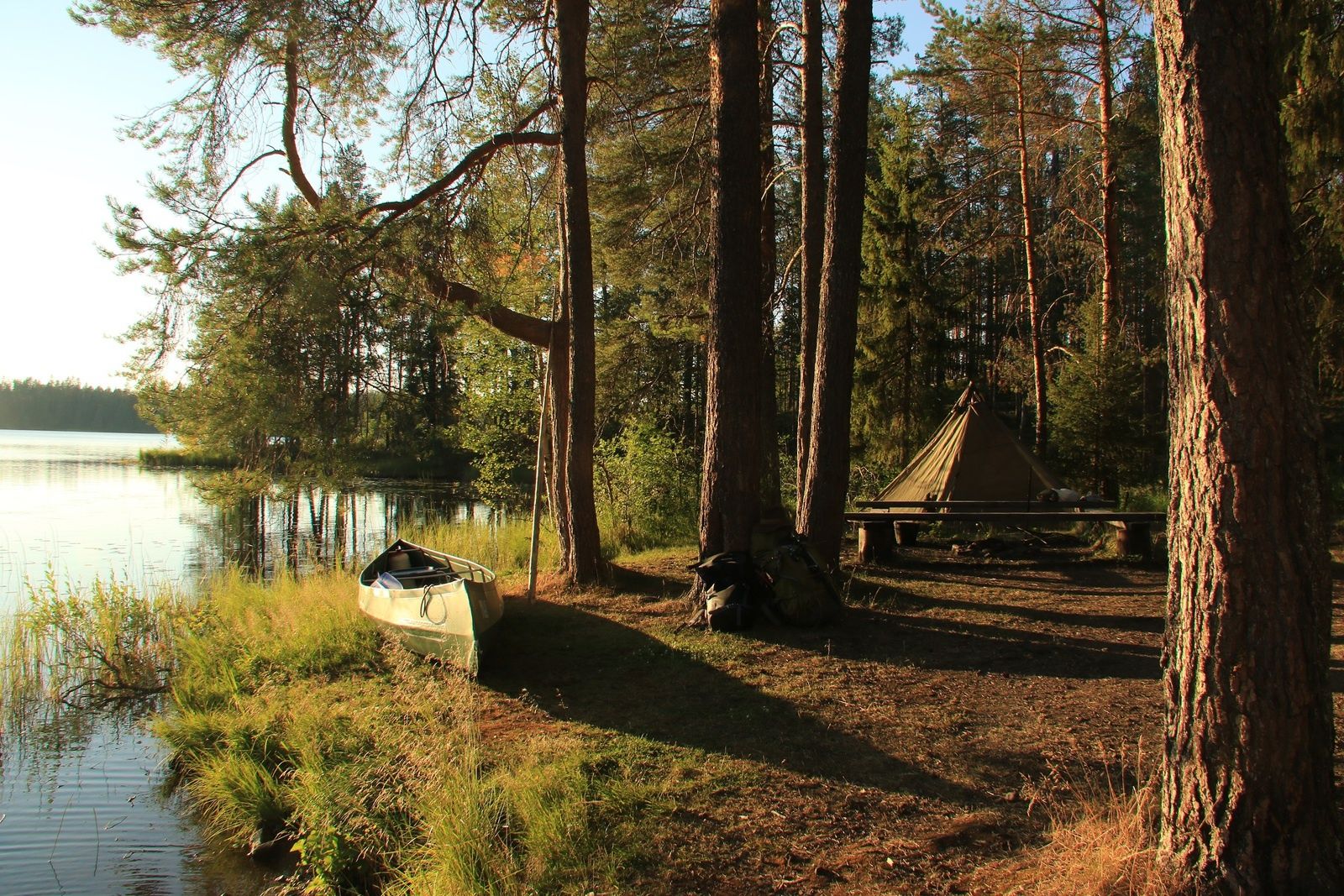 A campsite by a lake with a canoe on shore and a tent among tall trees.