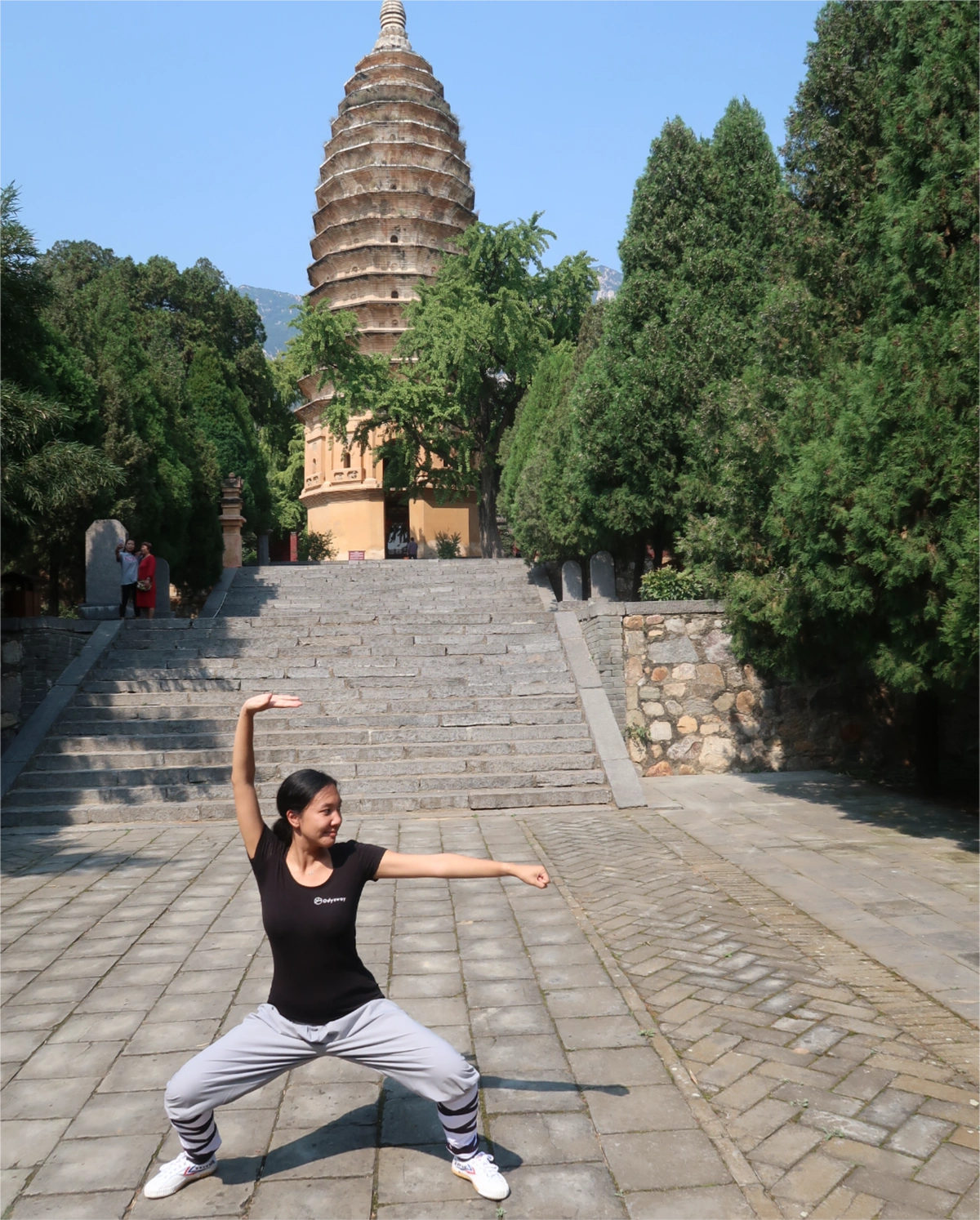 image secondaire du voyage Initiez-vous au Kung Fu dans un temple Shaolin