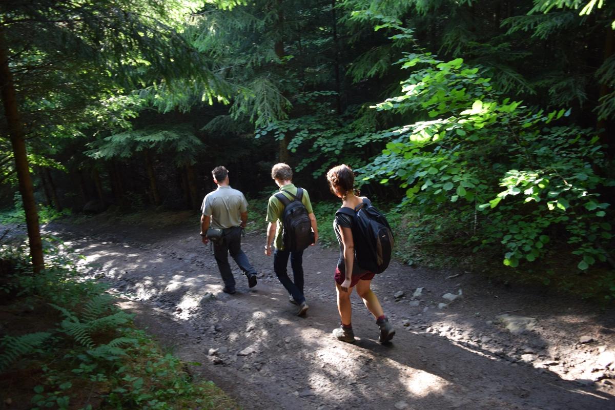image secondaire du voyage Expédition sauvage en Roumanie : sur les traces des ours des Carpates