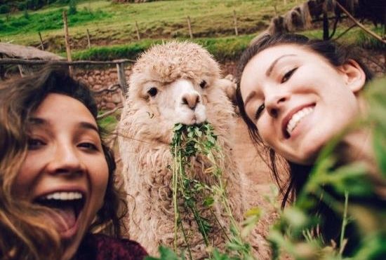 Image principale du blog Voyage sur Mesure au Pérou : Découvrez les Trésors Cachés des Andes