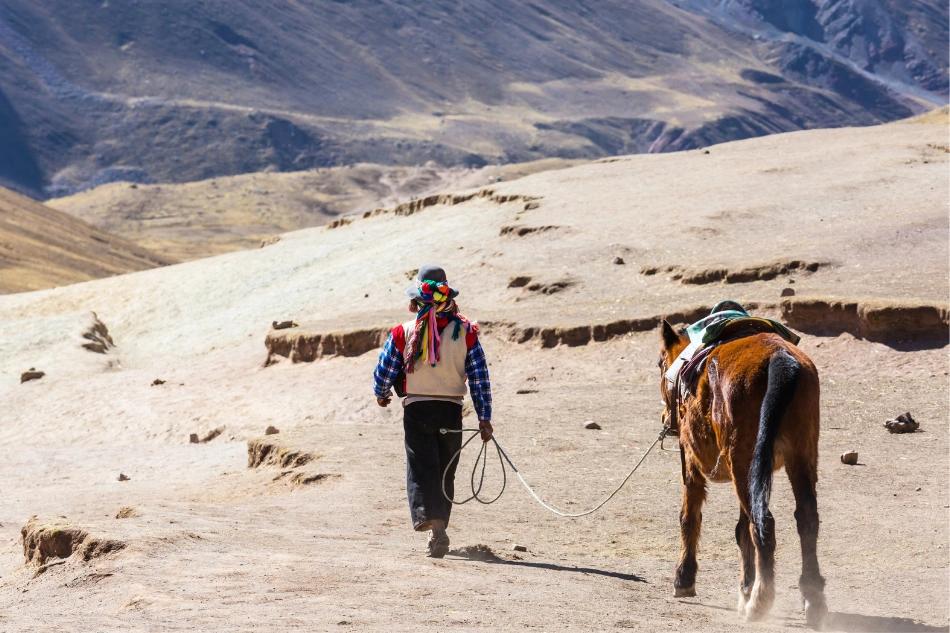 Photo de Des guides francophones dédiés