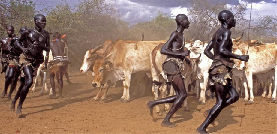 Image principale du blog La cérémonie de l'Ukuli en Ethiopie