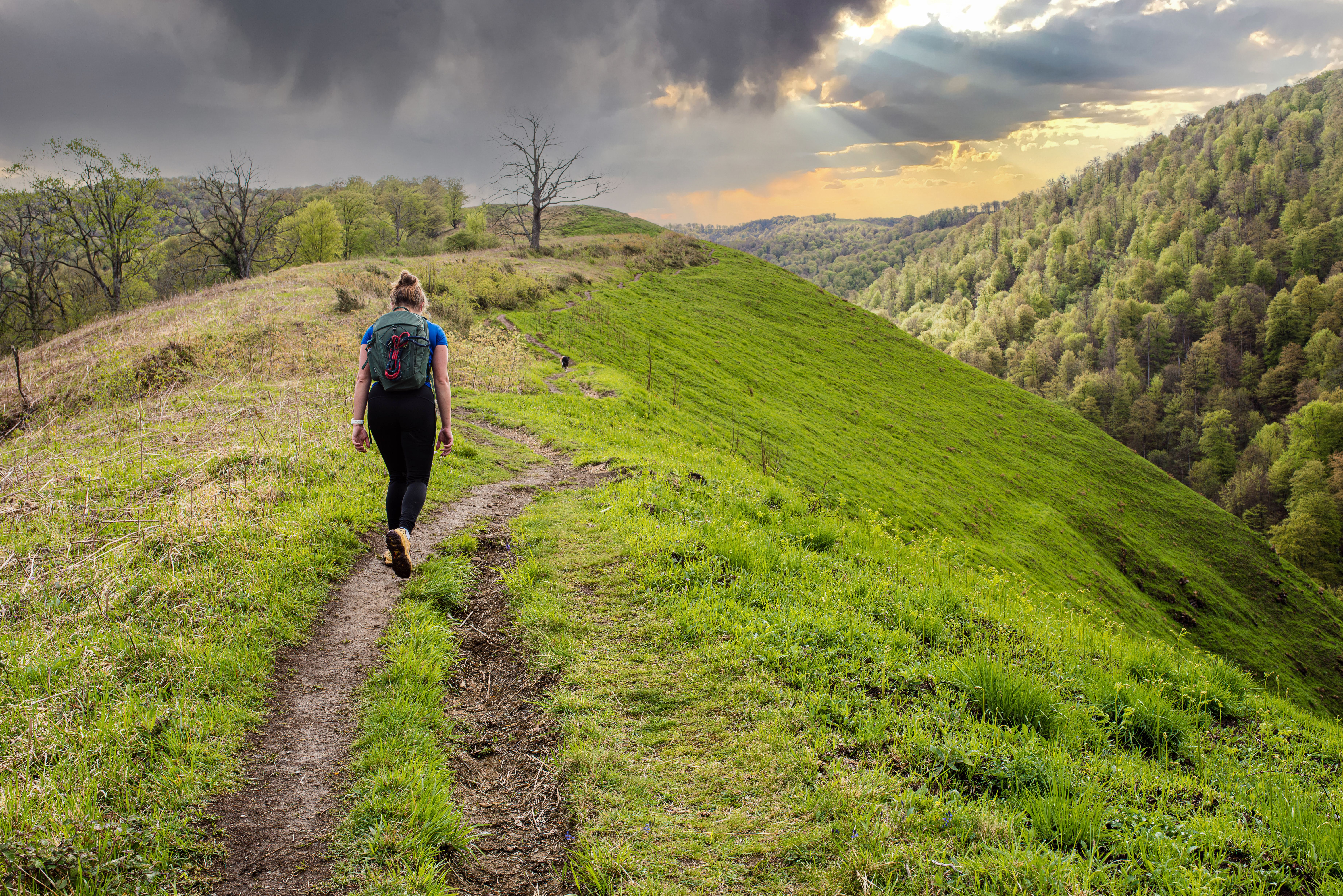 A person with a backpack walks along a grassy ridge overlooking a forested valley under a sky with sunbeams.