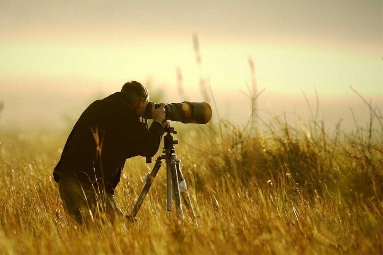image de la liste de photos du voyage Découvrez l'art de la photo animalière dans le Jura