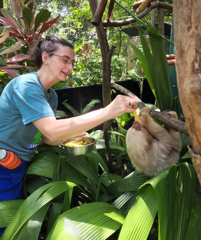 image secondaire du voyage Occupez-vous des animaux de la jungle au Costa Rica