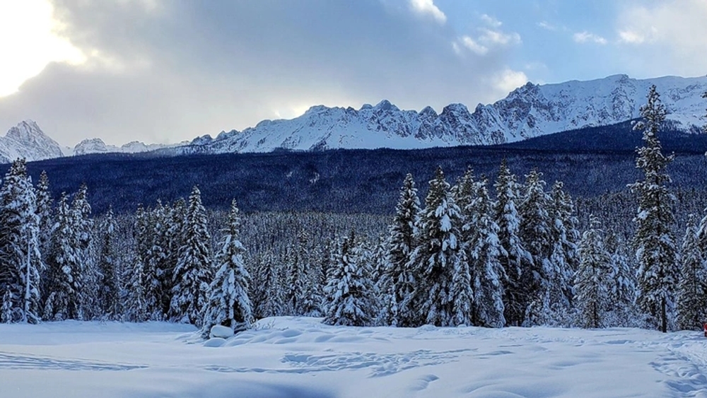 image principale du voyage Séjour multiactivités dans les fjords canadiens