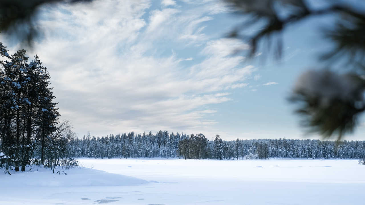 image de la liste de photos du voyage Voyagez comme un trappeur en Finlande