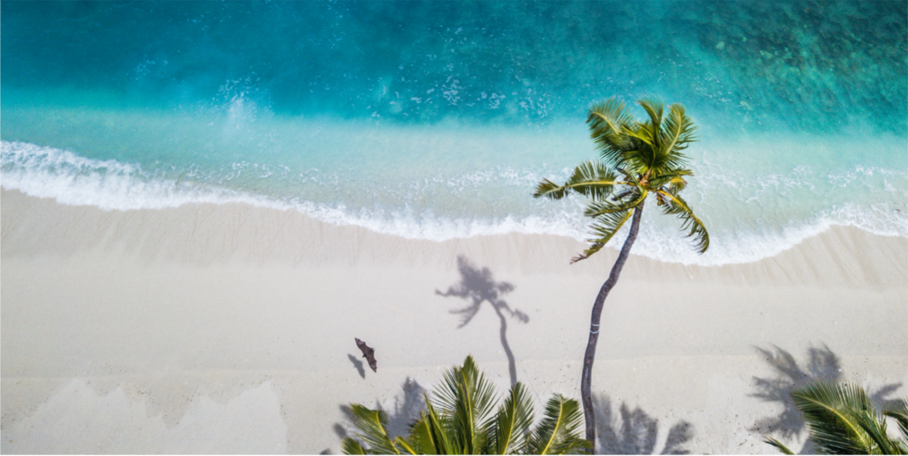 Image principale du blog Top 10 des destinations pour l'été