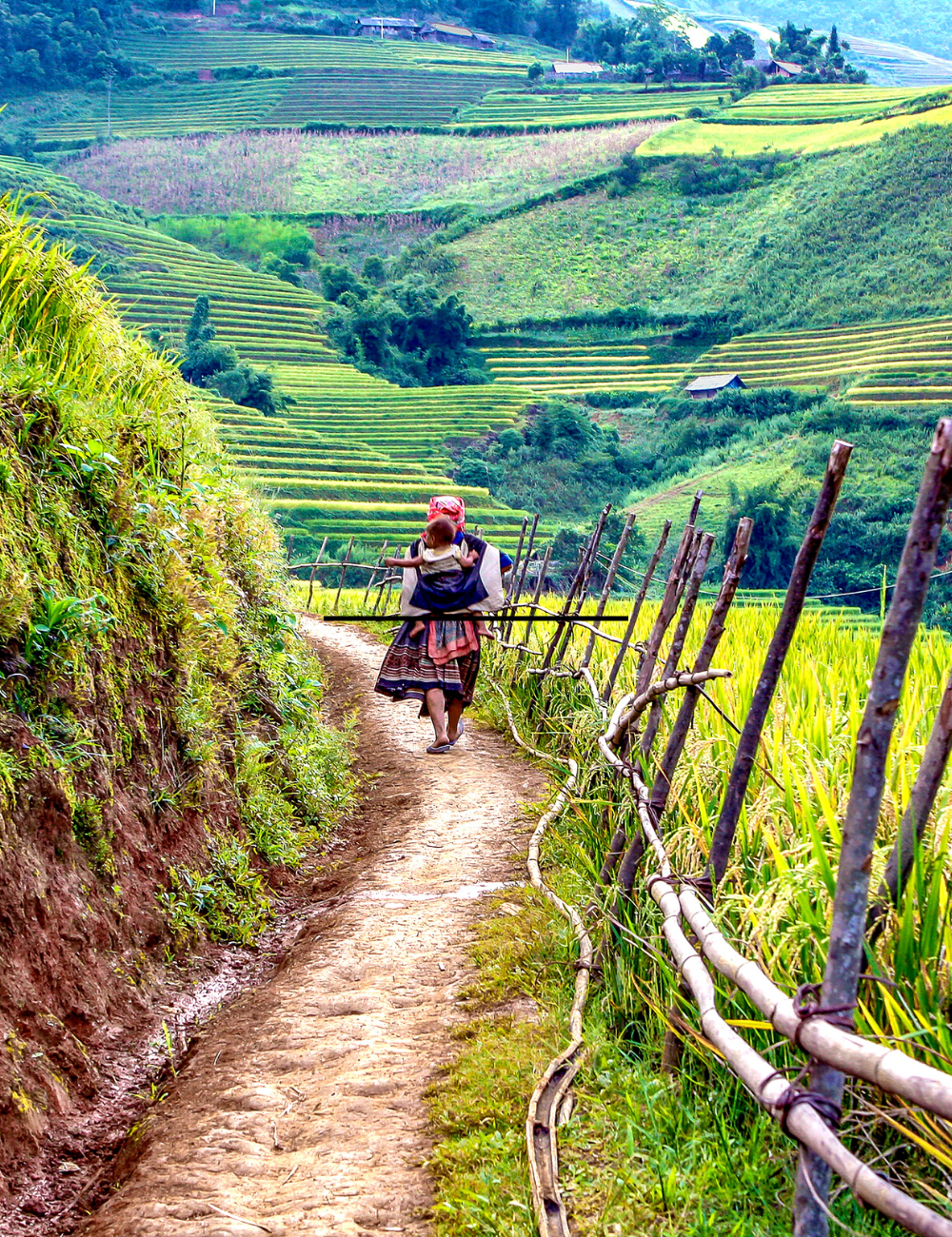 image secondaire du voyage Le Vietnam du Nord, un voyage à la rencontre des populations ethniques