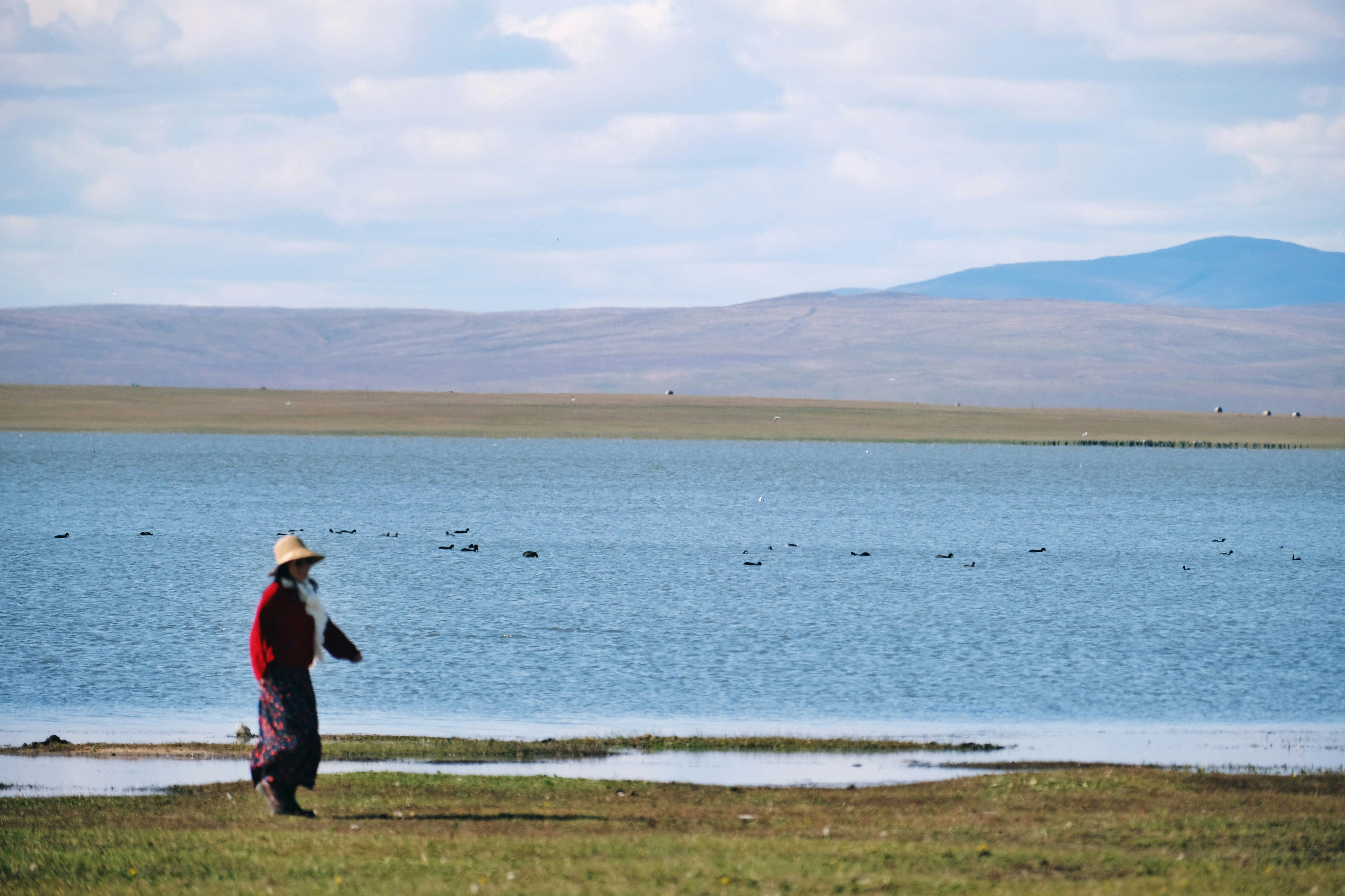 Photo du voyage Trek Mongolie : Khangai, vallée d’Orkhon et immersion chez les nomades