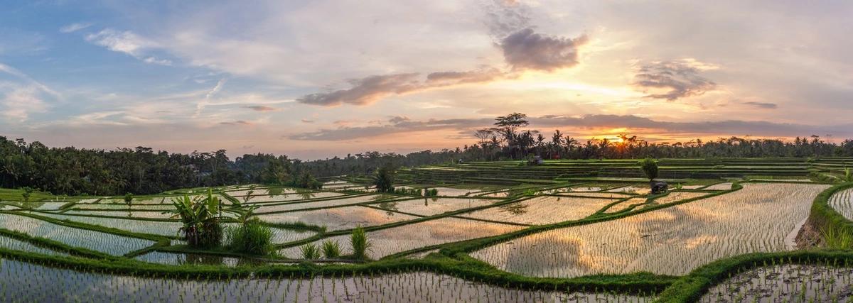 Image principale du blog 5 idées pour voyager à Bali autrement