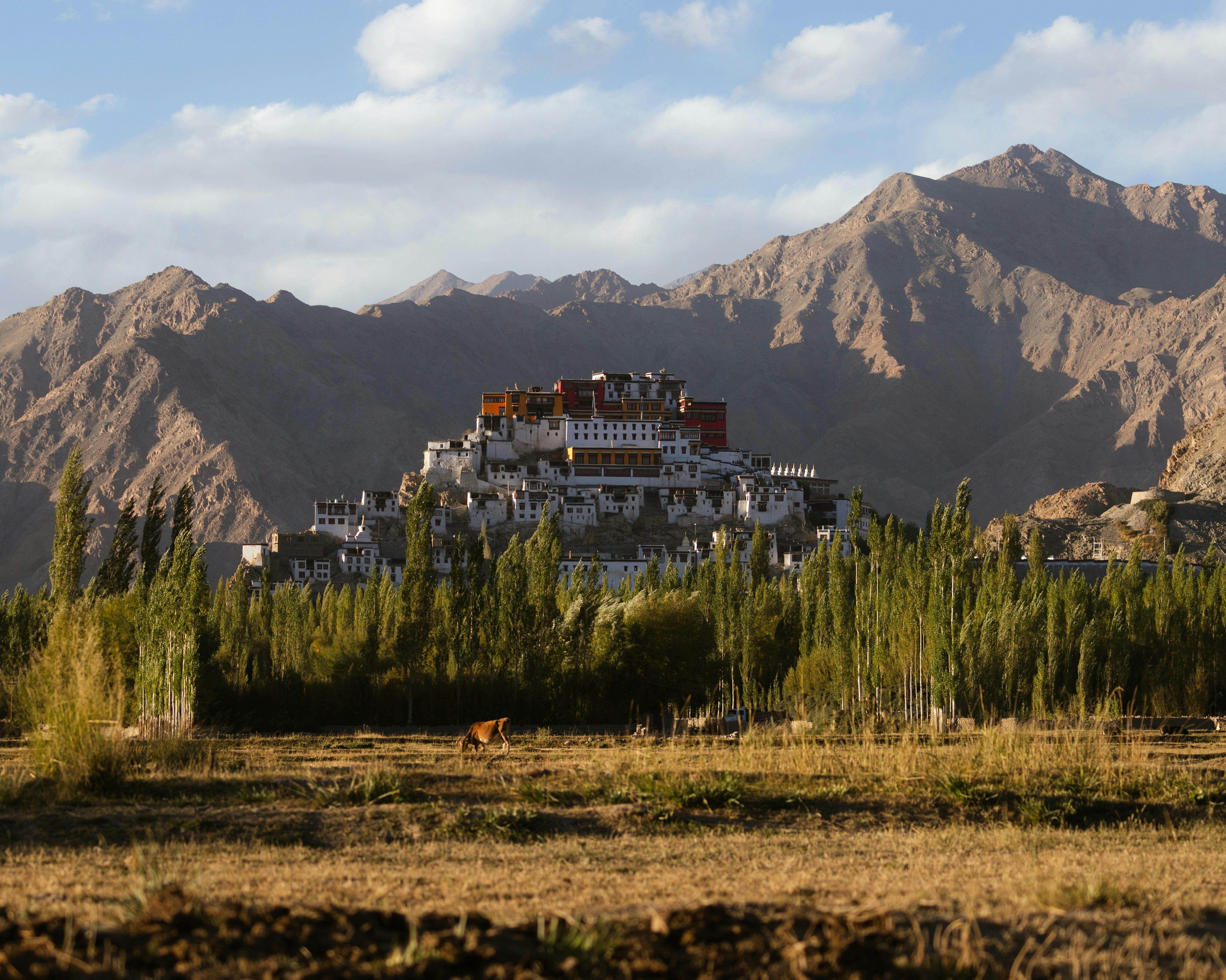 A white and red monastery sits atop a hill, framed by tall green trees and barren brown mountains, with a dry field in the foreground.