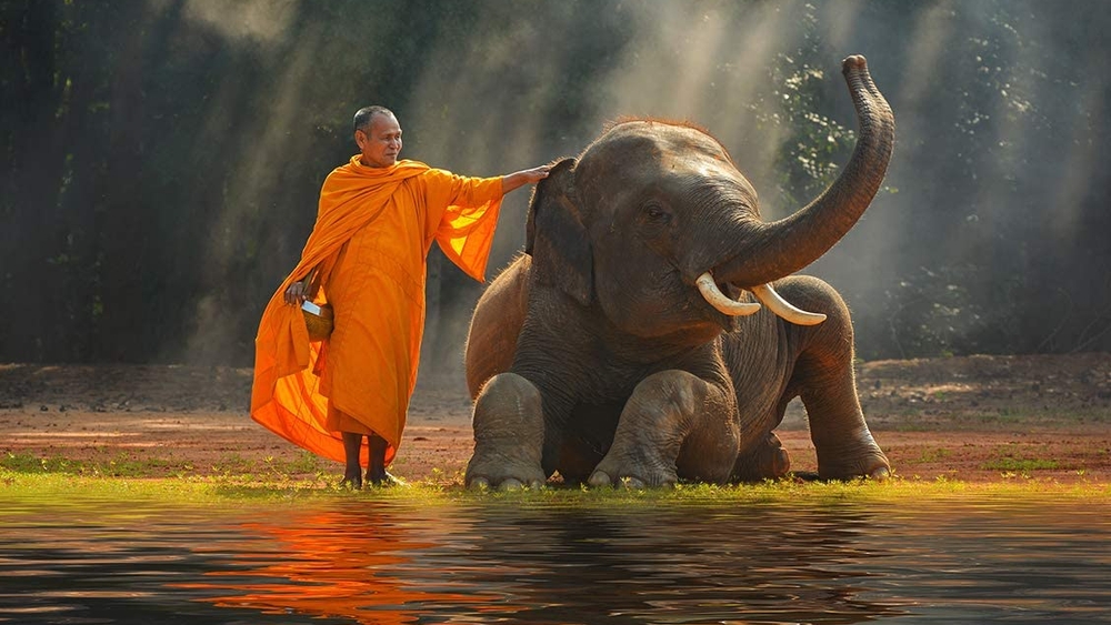 Image principale du voyage Sur mesure ThaĂŻlande