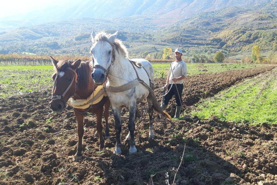 Photo du voyage Séjour en Albanie, entre montagnes, lacs et vie locale