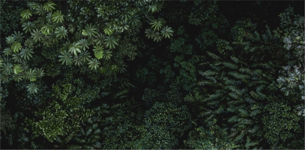 Image principale du blog Le jour où Odysway est née..